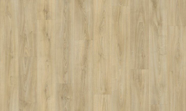 Charisma - Blonde Oak